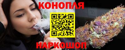 молекула духа Новозыбков
