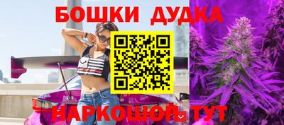 молекула духа Новозыбков