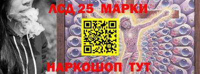 молекула духа Новозыбков