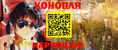 молекула духа Новозыбков